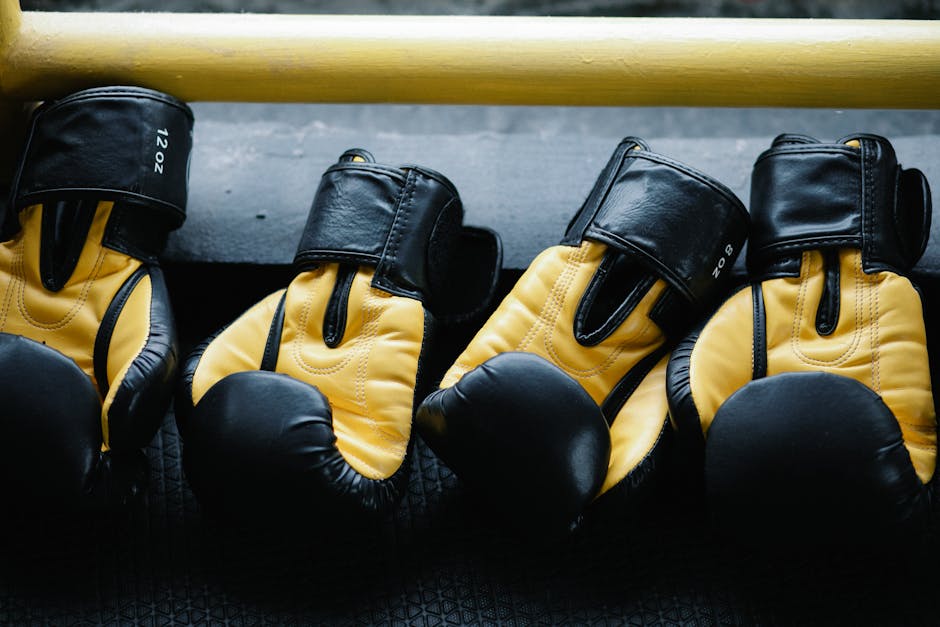 Boxing gloves representing discipline