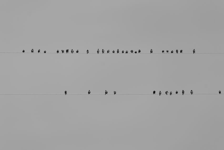 Birds on a wire communication